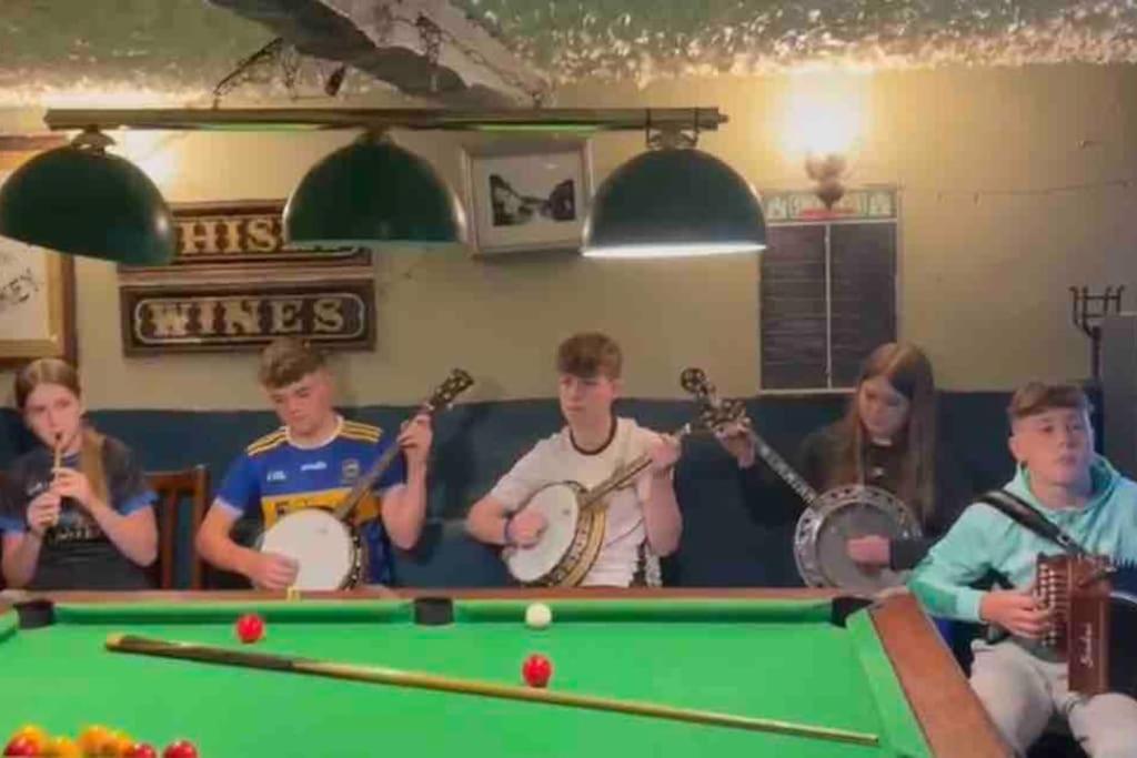 Tom Rocky'S Farmyard Villa Templemore Kültér fotó