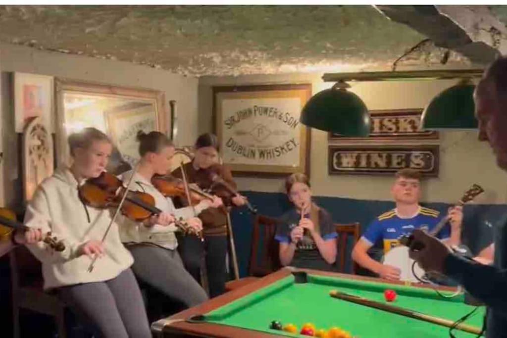 Tom Rocky'S Farmyard Villa Templemore Kültér fotó